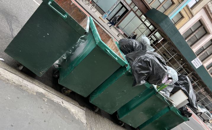 mini dumpster rentals